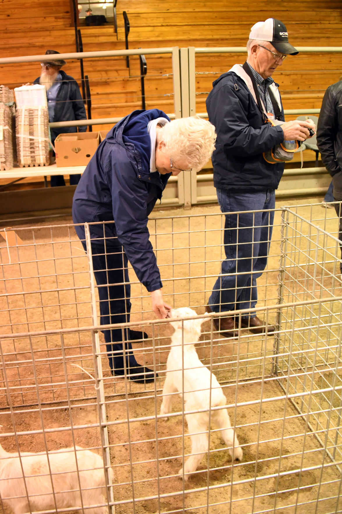 089 Sharon Epp plays with a baby goat at the Kalona Sales Barn.JPG